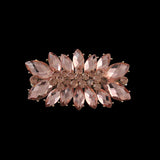 Gold Finish Large Rhinestone Floral Princess Barrette Clearr