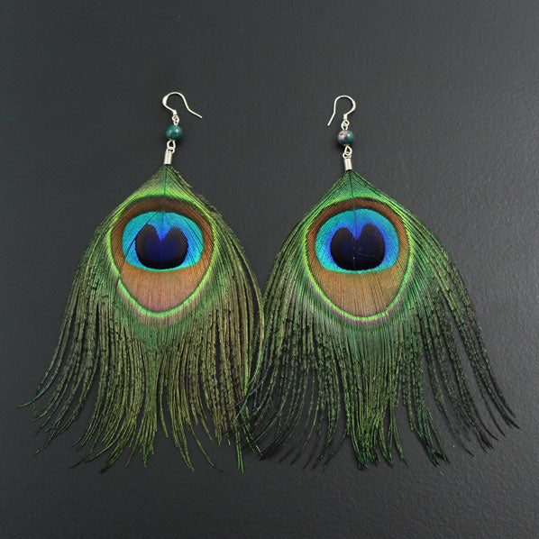Peacock Feather Earrings with Sterling Silver Earwire
