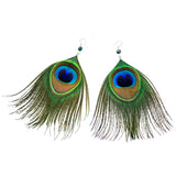 Peacock Feather Earrings with Sterling Silver Earwire