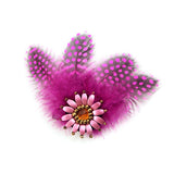 Floral Guinea Fowl Feather Hair Clip & Brooch Hotpink