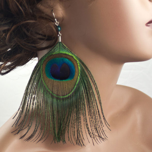Peacock Feather Earrings with Sterling Silver Earwire