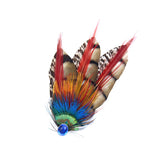 Multi-colored Feather Hair Clip & Brooch