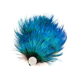 Peacock Blue Feather Hair Clip