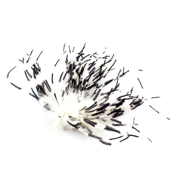 Ostrich Feather Hair Clip & Brooch White